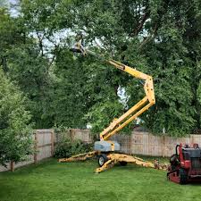 Best Lot and Land Clearing  in Piperton, TN