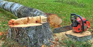 Best Lawn Grading and Leveling  in Piperton, TN
