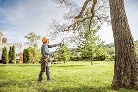 Best Storm Damage Tree Cleanup  in Piperton, TN