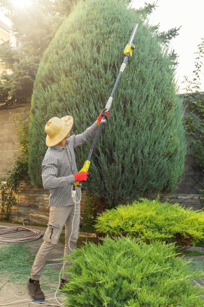 Best Lawn Pest Prevention  in Piperton, TN
